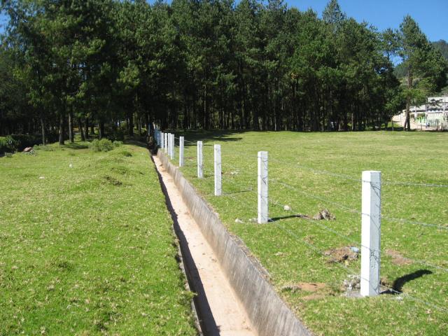 PELULO_651.JPG